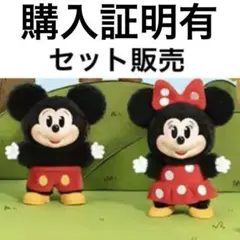 【専用】箱のまま配送 ミッキー&ミニー　セット販売