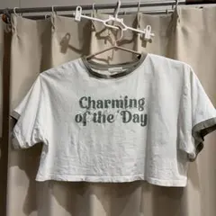 クロップドTシャツ　Mサイズ