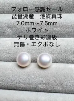 感謝セール　琵琶湖産　池蝶真珠　テリ巻き彩凛級　7.0mm〜7.5mm