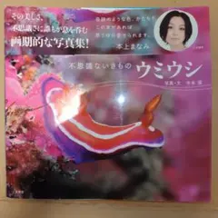 専用 新版 ウミウシ 特徴がひと目でわかる図解付き 1260種 - メルカリ