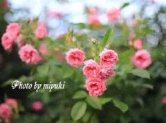 ぱむ様 リクエスト 3点 まとめ商品