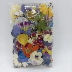 押し花＆ドライフラワー花びら♡フラワーパーツ6