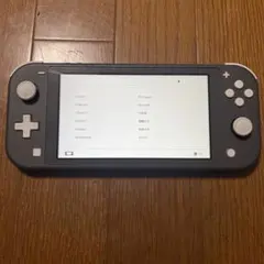 Nintendo Switch Lite グレー 本体　動作確認済み