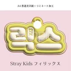 スキズ フィリックス ぷっくり ネームボード オーダー 韓国 文字パネル