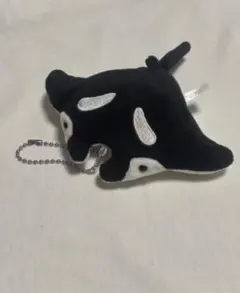 Item thumbnail for item c6b99b69-fc8a-42d1-8396-dc2a99866abe