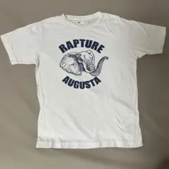 【SEVENDAYS=SUNDAY 】象プリントTシャツ ホワイト Mのサムネイル