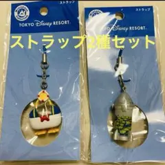 東京ディズニーリゾート ストラップ2種セット