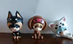 銀魂　きゃん魂すこっと