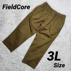 FieldCore ワークパンツ 3L メンズ 撥水加工✱