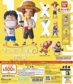 ワンピの実　第十六海戦　(カプセル付き)