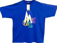 新品タグ付MANASTASH 半袖Tシャツ XL ブルー コットン100%のサムネイル