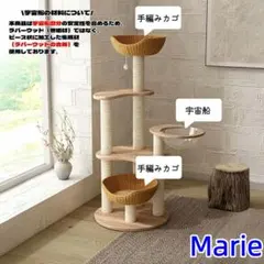 Item thumbnail for item ad91279e-570c-4be6-83e7-8732183fa3a9