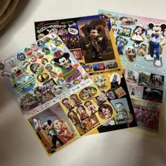 s*n様 ディズニーリゾート　実写シール