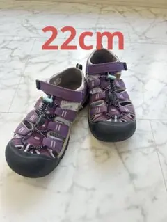 Item thumbnail for item 5aee678c-970b-4cf9-a319-2fd57d3ce497