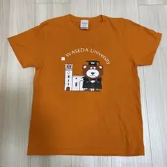 Item thumbnail for item 659e66ab-1f39-40de-a725-5436cefd5548