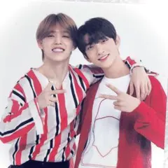 SEVENTEEN エスクプス ジョシュア IC ペア トレカ フォトカード