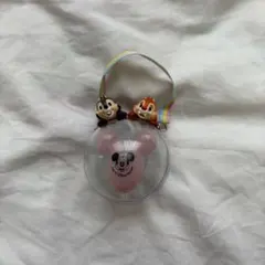 ディズニーリゾート チップ＆デール ミニスナックケース