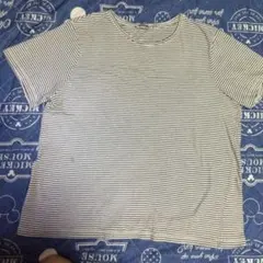 ZARA TRAFALUC ストライプ 半袖Tシャツ EU S