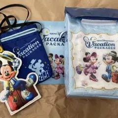 ディズニー　バケパ　ポップコーンバケット　ケース　パスケース　特典