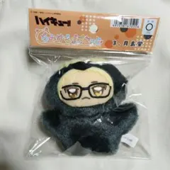 ハイキュー ちみけもますこっと 月島蛍 ぬいぐるみ