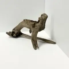 【48】アクアリウム流木