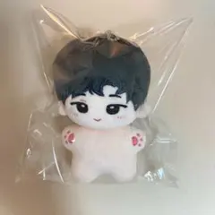 2025年最新】seventeen ぬいぐるみ ウォヌの人気アイテム - メルカリ