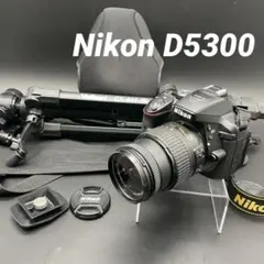 2026年最新】ニコンd5300の人気アイテム - メルカリ