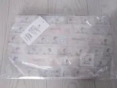 スヌーピー 保冷バッグ（新品・未使用）