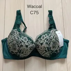 C75 レッドレーベル バイ トリンプ0089 ブラ単品 M010 - メルカリ