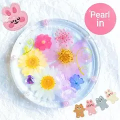 NO.230●固まるハーバリウム食品OK●お花のサークルトレイ/コースター