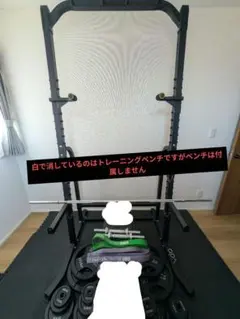 wasai ハーフラック　美品 WASAI(ワサイ) ハーフラック パワーラック マルチジム セフティーバー