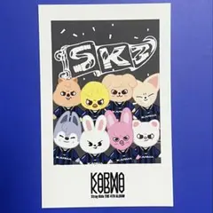 2025年最新】skzoo ポラロイドの人気アイテム - メルカリ