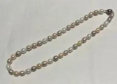 Item thumbnail for item bf615fcc-b07b-449b-8b4d-ed59b9baaad6