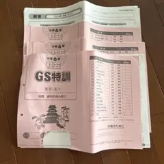 サピックス SAPIX＊GS特訓 6年／社会 全3回 完全版＊難関