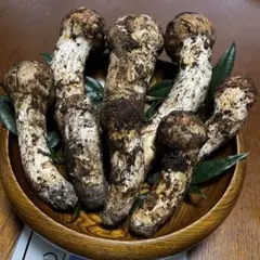 南信州産 天然松茸 1016g 訳あり - メルカリ