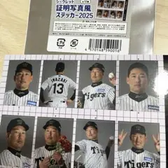阪神タイガース シークレット 証明写真風 ステッカー 2025 岩崎優