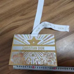 CHRISTIAN DIOR ショップ袋 2025ホリデー