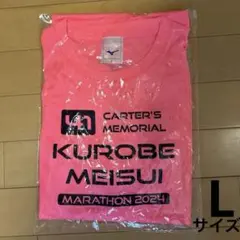 Item thumbnail for item e7383e2e-ab8a-42bd-8b01-fefaddce034d