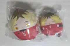 ハイキュー 孤爪研磨 ふわコロりん ぬいくじ D E 賞