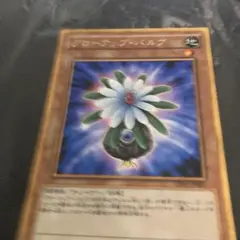 遊戯王【スポーア、グローアップ・バルブ】2枚セット a - メルカリ