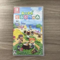 あつまれ どうぶつの森 Nintendo Switch