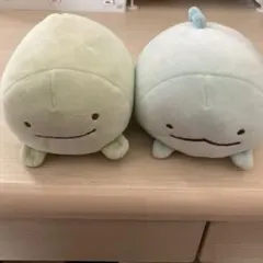 すみっコぐらし　とかげ　とかげ(本物)　ぬいぐるみ 2体セット