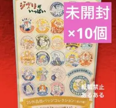 ジブリがいっぱい　缶バッジコレクション　ランダム　未開封　ブリキ缶バッジ　10個