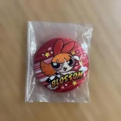 ブロッサム 刺繍　缶バッジ