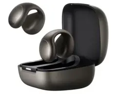 Anker Soundcore C40i イヤホン メタリックグレー