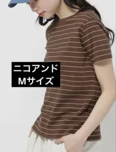 ニコアンド　COLORマイスターTシャツ　ブラウン