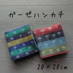 Item thumbnail for item 0e714136-4f56-48c7-b228-d87c7d305503