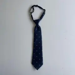 Item thumbnail for item 0be58905-d55b-474e-8659-a797f94b1a8b