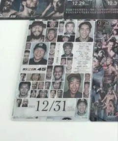 【専用】RIZIN ポテトスティックポスターカードコレクション