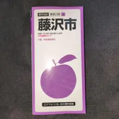 都市地図 神奈川県 藤沢市